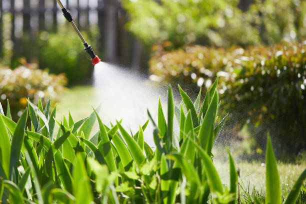24/7 Emergency Mosquito Control experts in Matoaca, VA